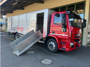 Truk pengangkut hewan IVECO EuroCargo