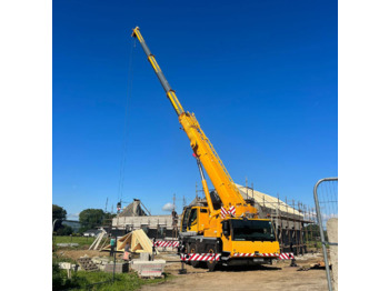 Derek bergerak LIEBHERR LTM 1060-3.1