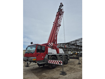 Derek bergerak LIEBHERR LTM 1030