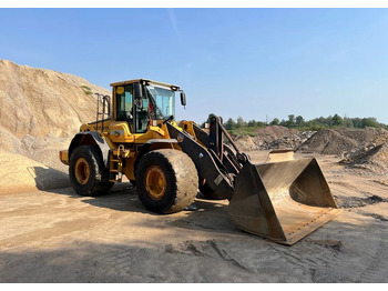 Wheel loader Volvo Volvo L110F: gambar 2