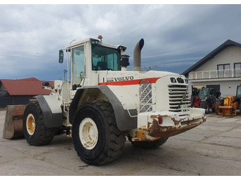 Wheel loader Volvo L 110 F: gambar 2