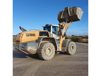 Leasing Liebherr L586 XPower Liebherr L586 XPower: gambar 5