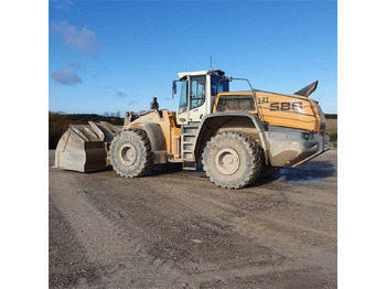 Leasing Liebherr L586 XPower Liebherr L586 XPower: gambar 1