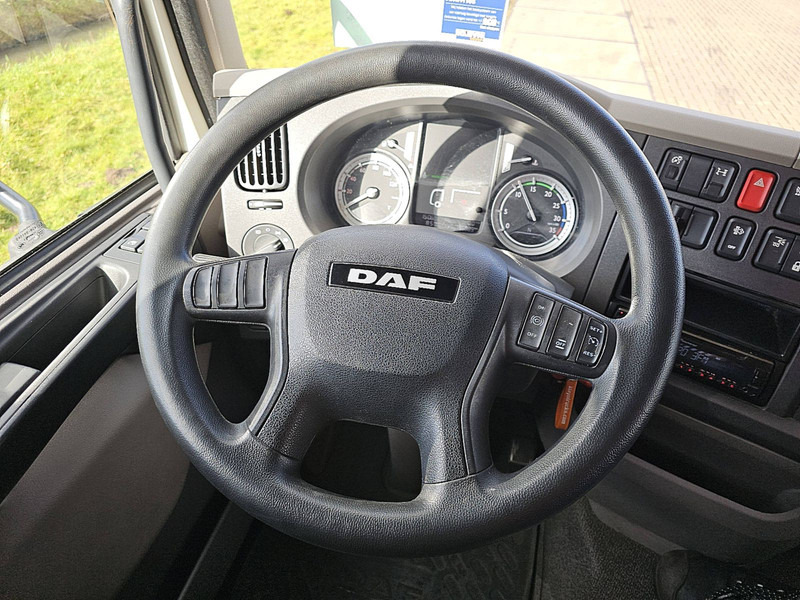 Leasing DAF LF 210 DAF LF 210: gambar 12