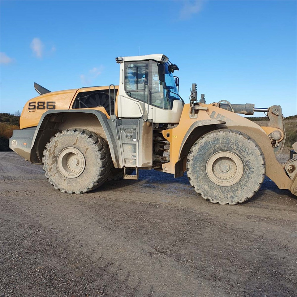 Leasing Liebherr L586 XPower Liebherr L586 XPower: gambar 16