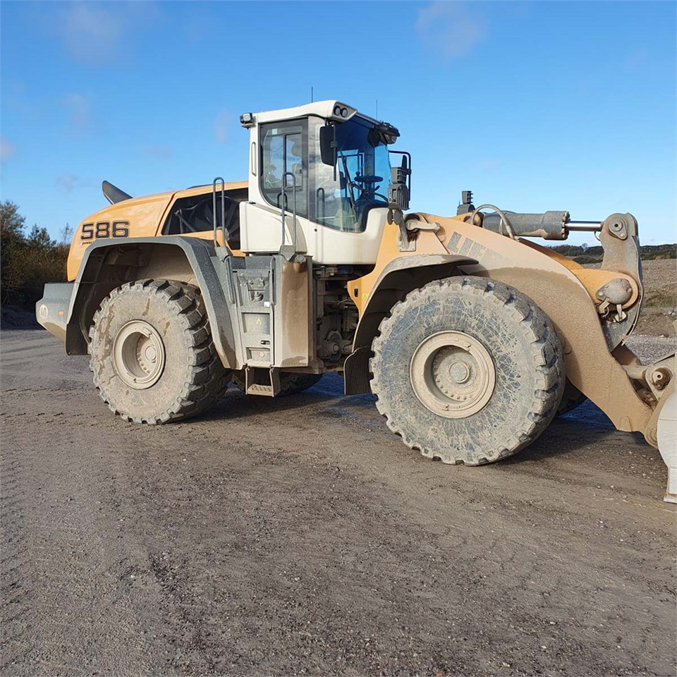 Leasing Liebherr L586 XPower Liebherr L586 XPower: gambar 17