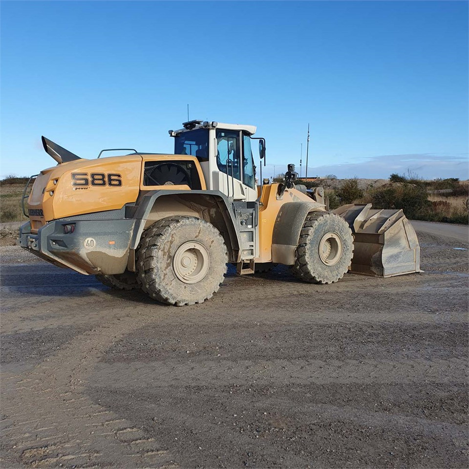 Leasing Liebherr L586 XPower Liebherr L586 XPower: gambar 19