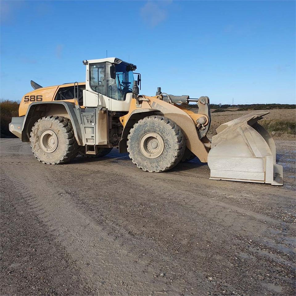 Leasing Liebherr L586 XPower Liebherr L586 XPower: gambar 13