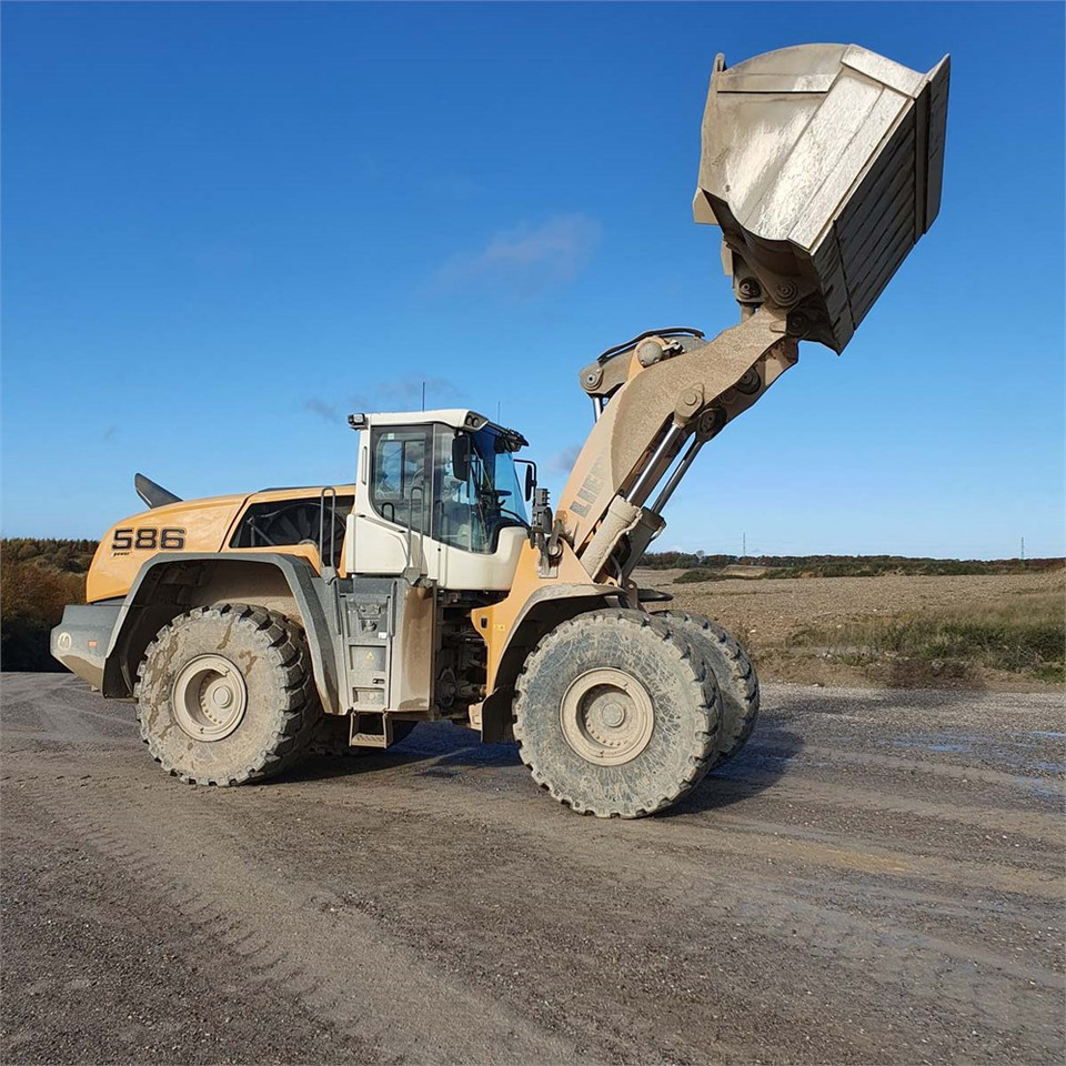 Leasing Liebherr L586 XPower Liebherr L586 XPower: gambar 14