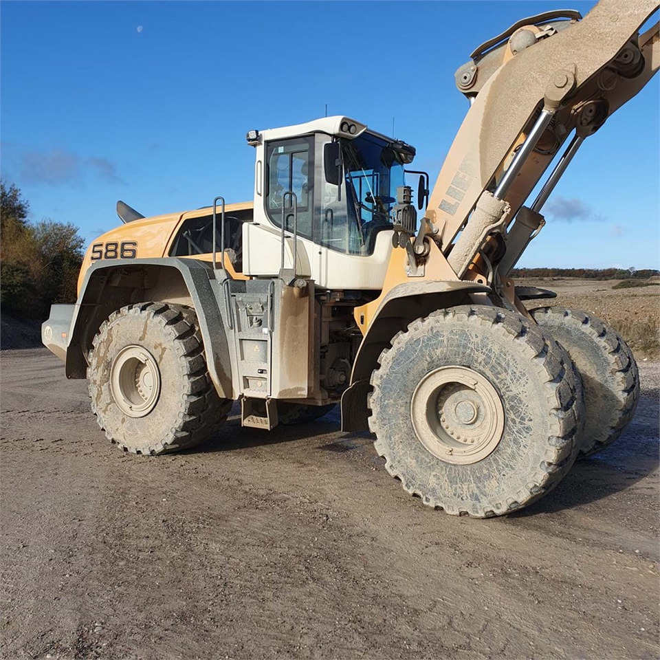 Leasing Liebherr L586 XPower Liebherr L586 XPower: gambar 15